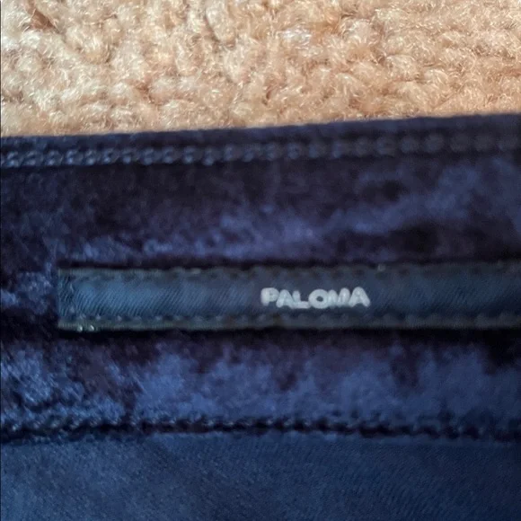 Citizens of Humanity Paloma Velvet Wide Pants - Picture 7 of 15